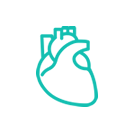 Cardiologia